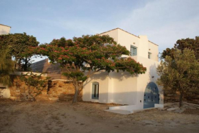 Casa citrus